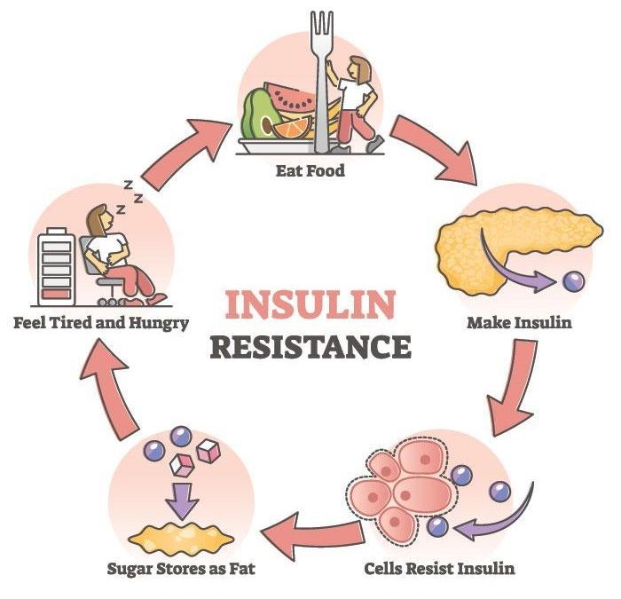 https://lysulin.com/wp-content/uploads/2023/08/insulin-resistance-700x675.jpg