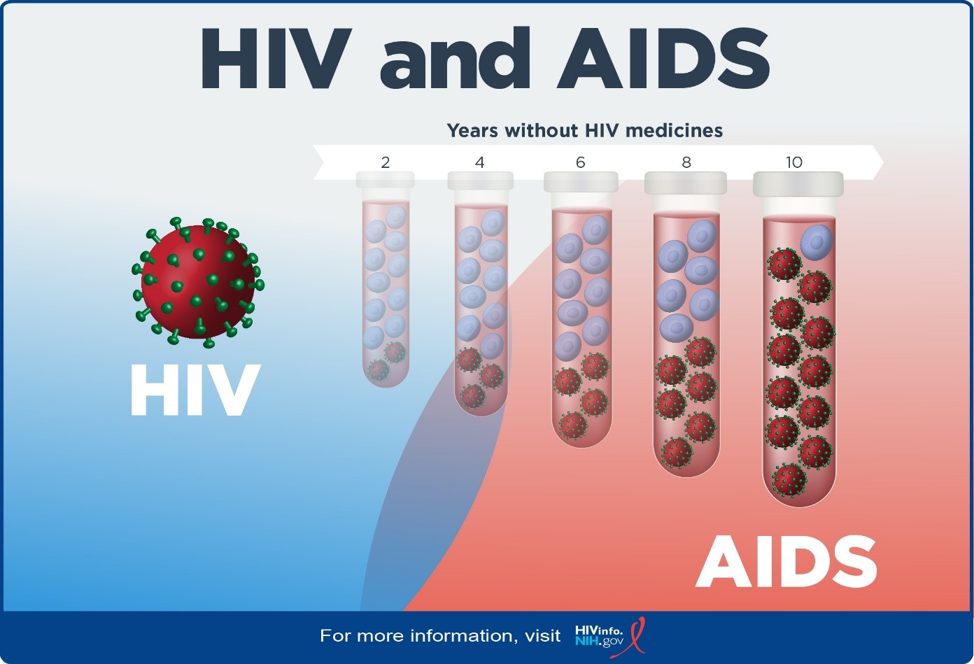 https://hivinfo.nih.gov/sites/default/files/inline-images/HIV-AIDS_Basics.jpg