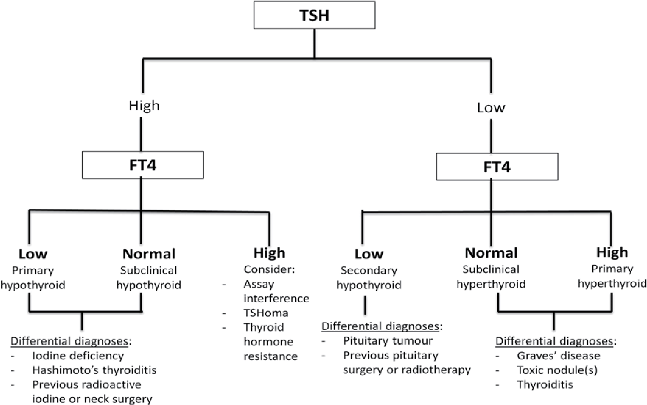 PDF] Laboratory Testing in Thyroid Conditions - Pitfalls and Clinical  Utility | Semantic Scholar