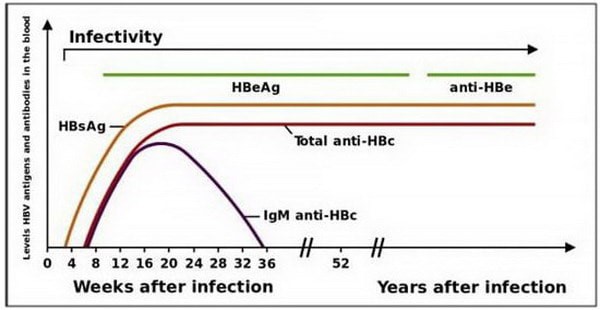 Anti-HBs آنتی ژن های هپاتیت