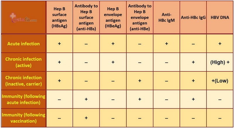 Interpretation-hepatitisB-tests