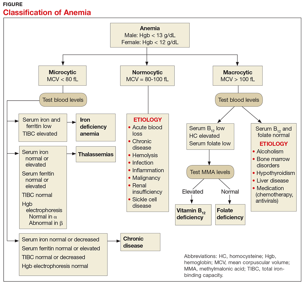 Classification of Anemia image