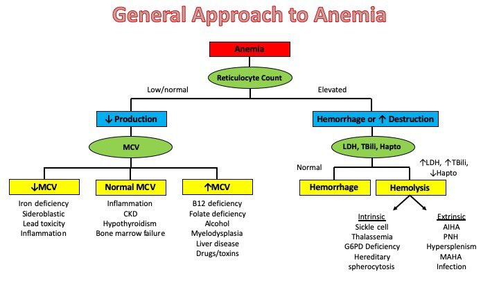 https://img.grepmed.com/uploads/13933/anemia-differential-reticulocyte-diagnosis-algorithm-original.jpeg